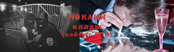 ALPHA PVP Козельск