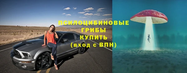 ALPHA PVP Козельск