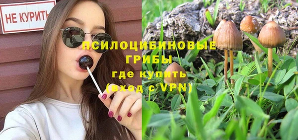 бутират Козловка