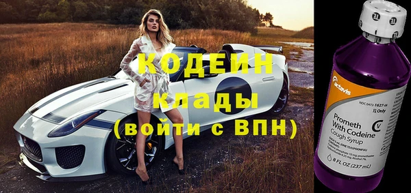 прущие крисы Кодинск