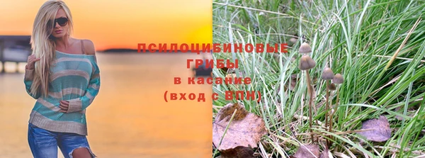 ALPHA PVP Козельск