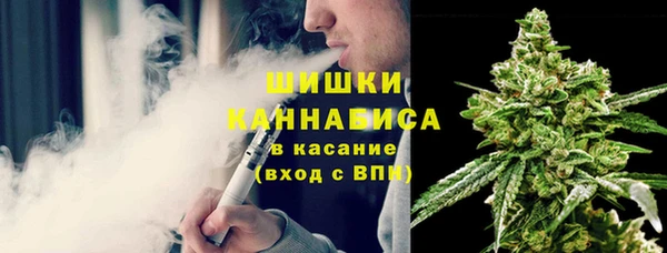 прущие крисы Кодинск