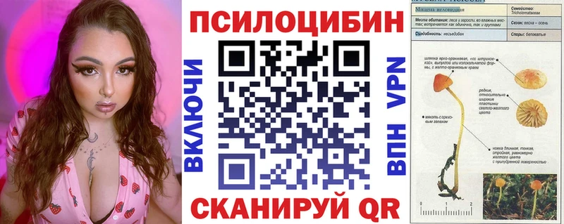 Купить где  Вихоревка  Псилоцибиновые грибы Psilocybe 
